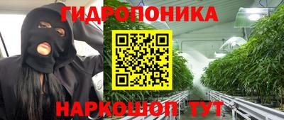 ГАЛЛЮЦИНОГЕННЫЕ ГРИБЫ Ипатово
