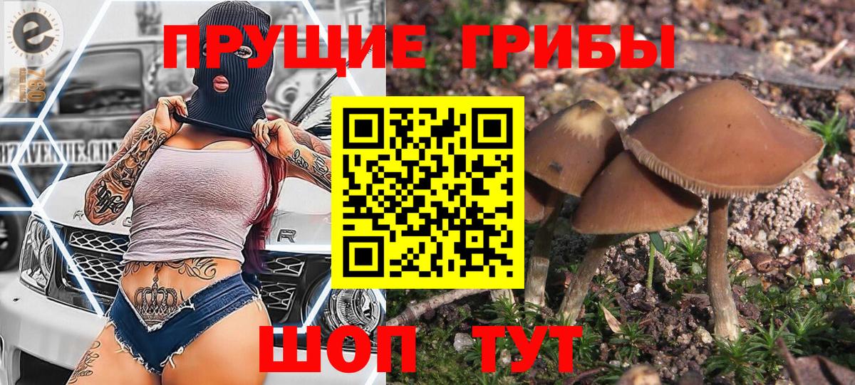Псилоцибиновые грибы MAGIC MUSHROOMS Махачкала