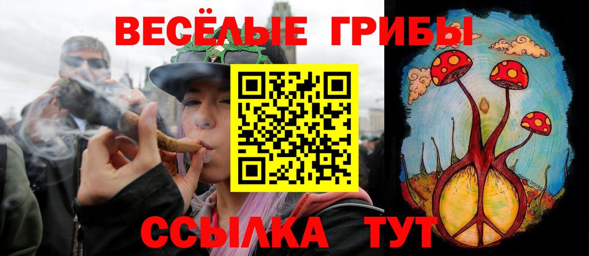 Псилоцибиновые грибы MAGIC MUSHROOMS  Галлюциногенные грибы Cubensis  Вход с VPN  Махачкала 